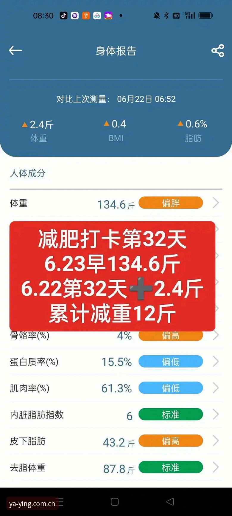 32天，这是亚盈体育客户端2.7版本从立项到上线的周期。我蹲了一整晚官方更新日志的评论区，又找了三个老用户实测，发现这次更新不是挤牙膏——指数统计模块直接嵌进赛程页， iOS端和安卓端同步推送，安装包48.6MB，比上一版瘦了差不多一个奶茶盖的重量。